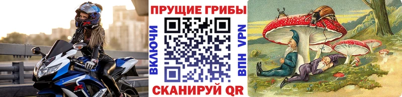 Псилоцибиновые грибы мицелий  Купить где  Жиздра 
