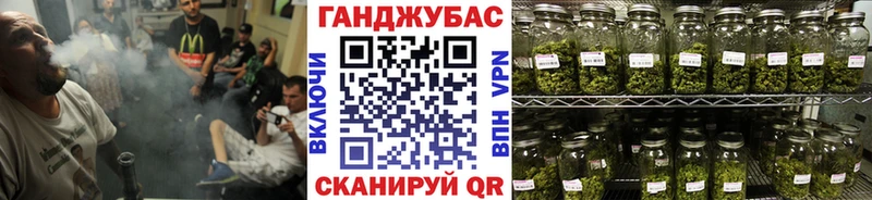 МАРИХУАНА Bruce Banner  Купить закладки  Жиздра 